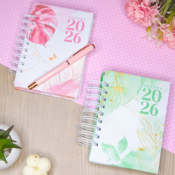 Capas Agendas 2026 – 91 arquivos – Col. Vagalume - Imagem 6