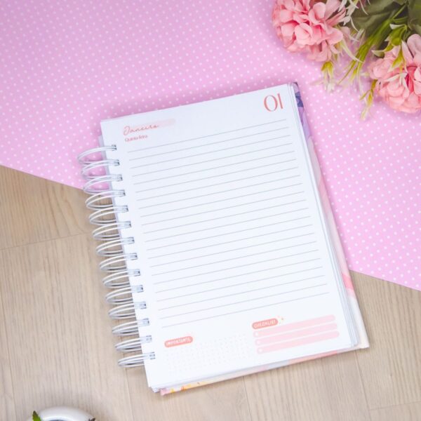 Super Combo Agendas A5 | Datadas + Permanentes + Capas | 126 miolos Col. Vagalume + 3 Bônus - Imagem 29